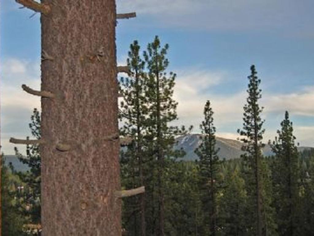 Tahoe Stoneridge Траки Номер фото
